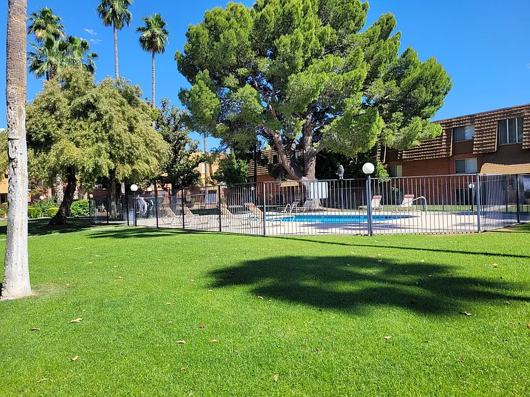 BELLA FLORA — Photo 12