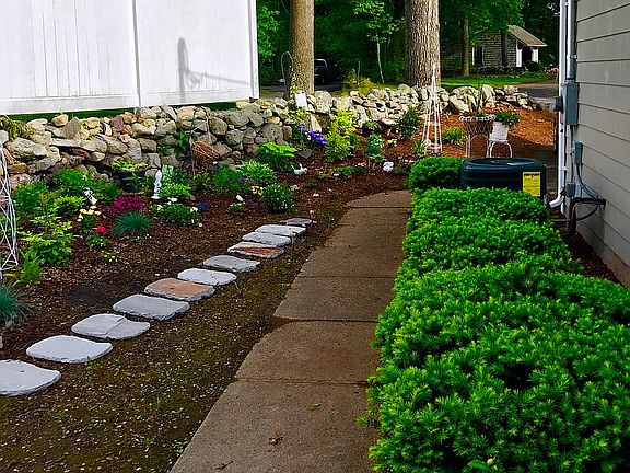 New garden