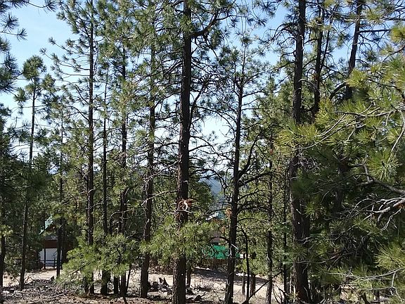 5th image of 509 Hilltop Dr