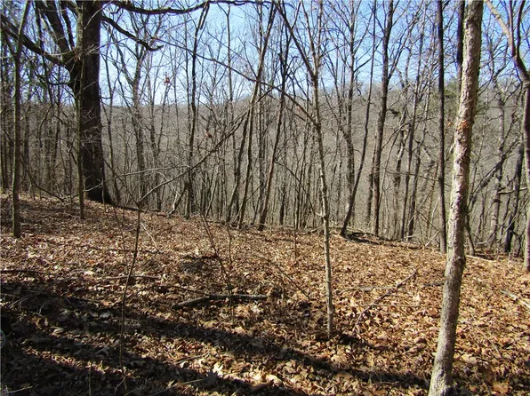 Clover Ln, Rogers, AR 72756