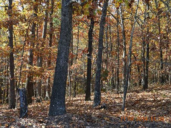 3rd image of Paxton Ln