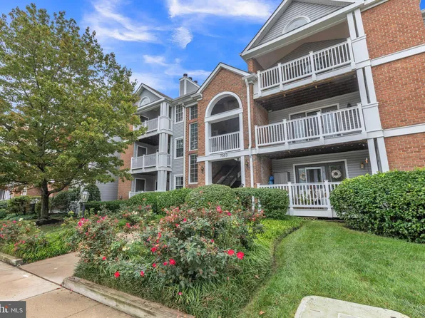 7503 Ashby Ln Unit H, Alexandria, VA 22315