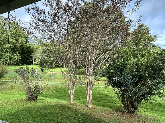 2nd image of 46 Harper Ln