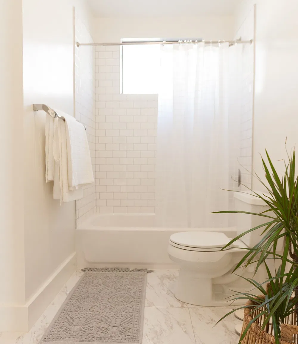 2 bed, 800 sqft, $3,350 — Photo 4