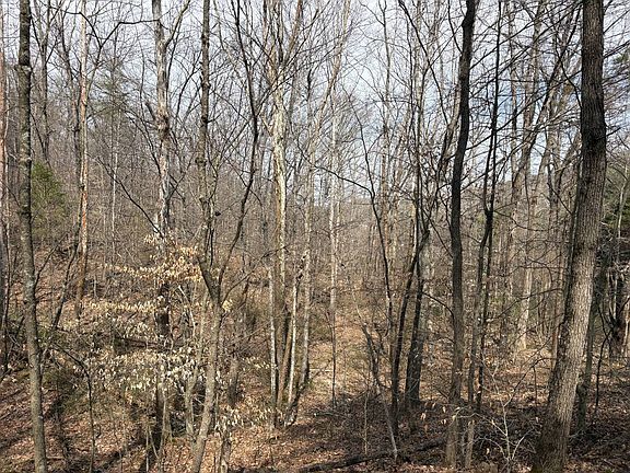 4th image of 4062 State Road 135 S