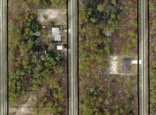 Tbd SW Buena Vista Road, Dunnellon, FL 34431