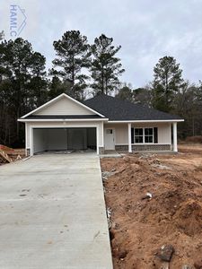 119 NE Clay St, Ludowici, GA, 31316