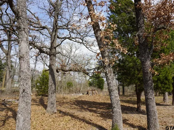 1698 Doc Holiday Dr, Malakoff, TX 75148