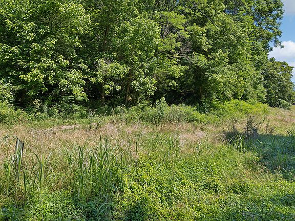 5th image of 0 Brown St Lot 1
