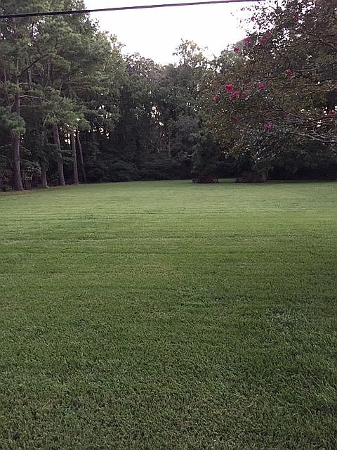 2nd image of 1429 Maharis Rd