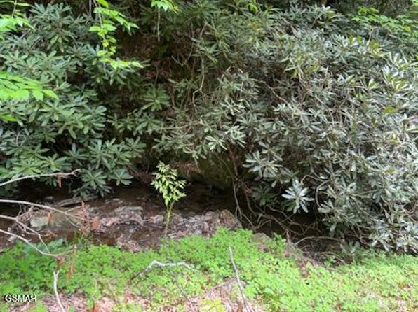 0 Butler Branch Rd, Gatlinburg, TN 37738