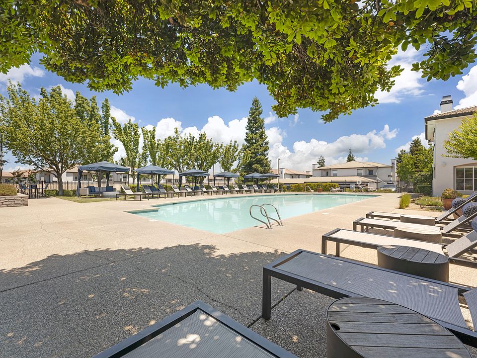 Our pool deck is lined with lounge chairs and surrounded by lush trees, offering shade, comfort, and scenic viewsjust steps from the clubhouse and leasing office at Ascent at the Galleria.