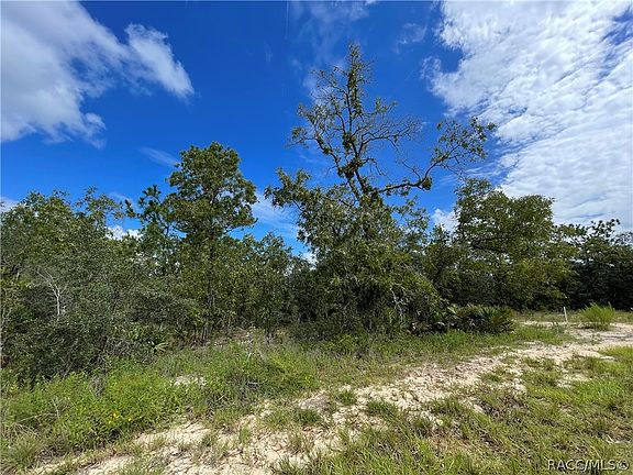 3rd image of 13 Gazania Ct