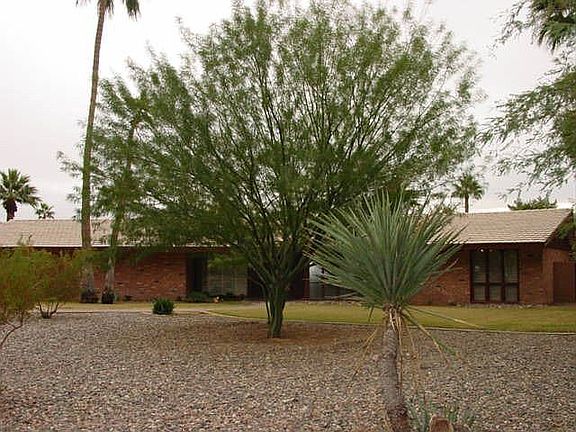 Easy care desert landscaping.