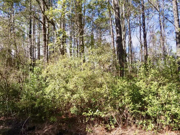 912 River Reach Ct, New Bern, NC 28560