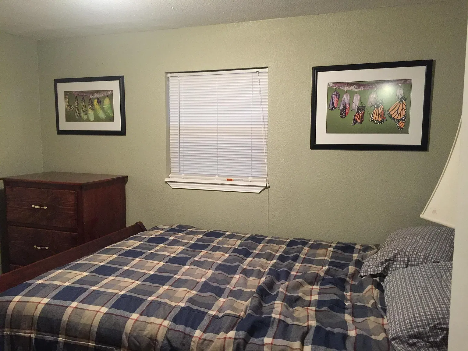 534 Briggs Boulevard — Photo 3