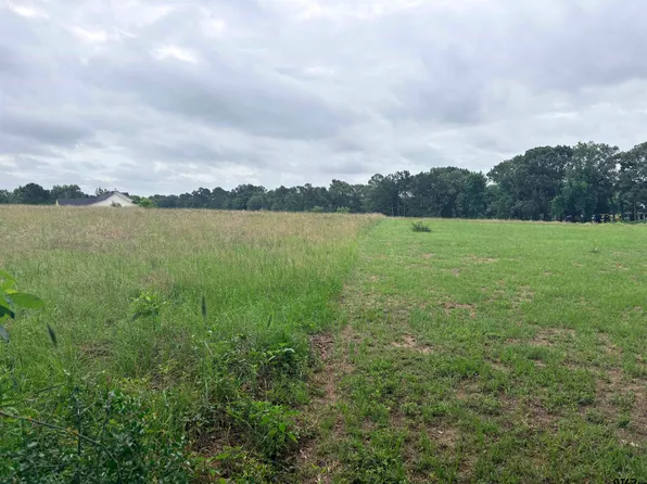 LOT 2 County Road 401 S, Henderson, TX 75654