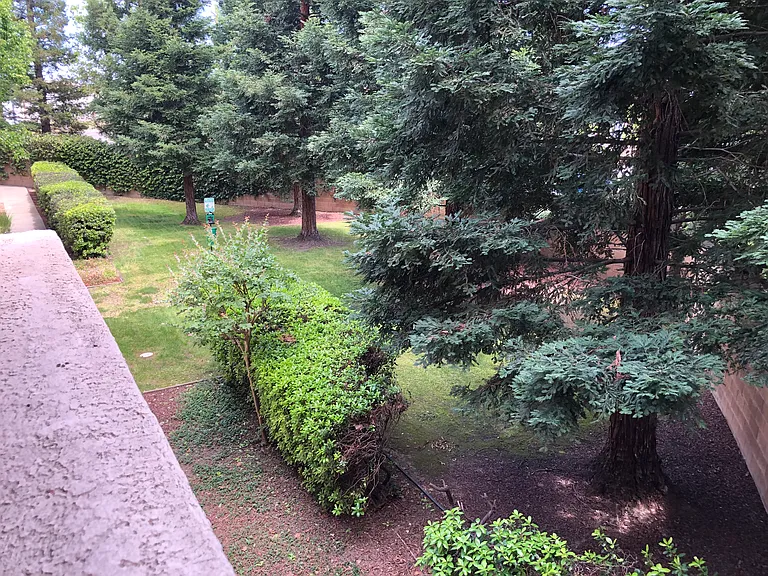 View 2 from huge covered patio. Overlooking dog park area.
