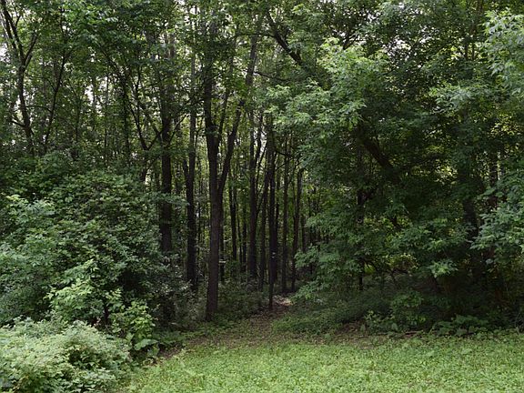 3rd image of 19 Deer Run Dr