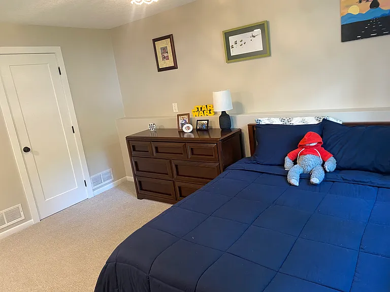 Downstairs left bedroom. Large room and closet!