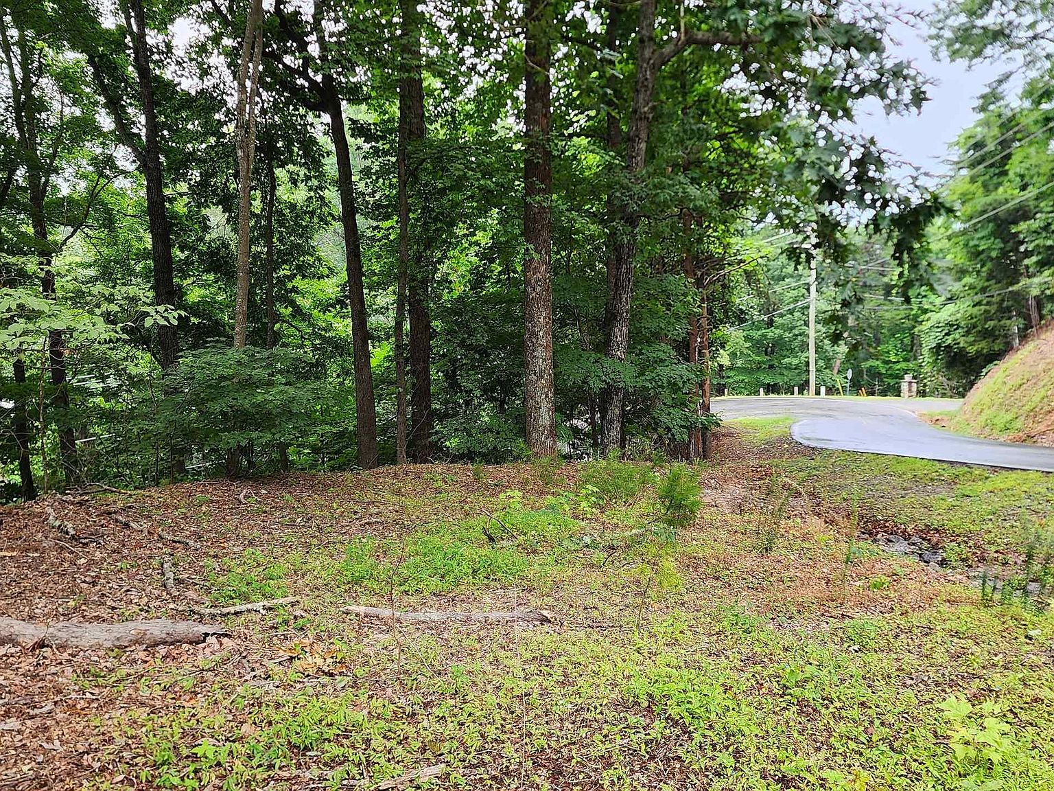 41 White Oak Mountain Rd, Columbus, NC 28722 | MLS #301964 | Zillow