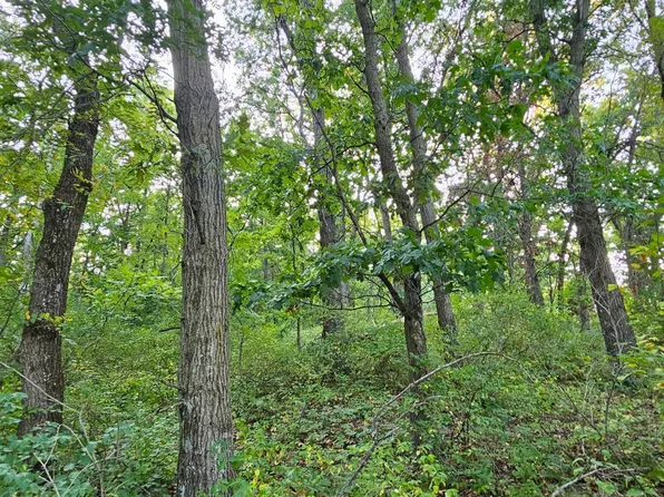 Village Rd, Rushford, MN 55971