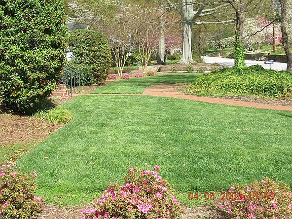 Looking across front lawn