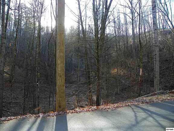 3rd image of 259 Lones Branch Ln