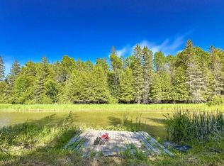 10663 Windrush Ln, Hubbard Lake, MI 49747