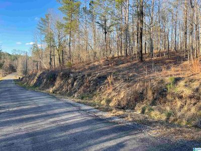 0 County Road 195, Clanton, AL, 35046