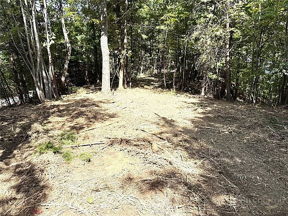 5th image of TBD Ridge Run Road