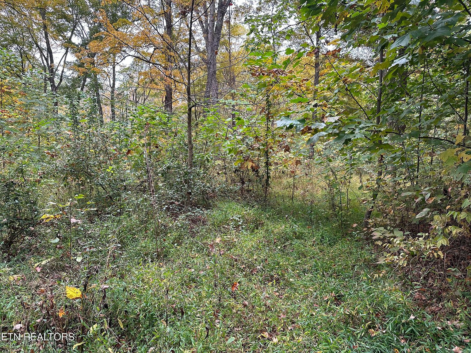 Highpoint Lane Lots 31 & 30, Sevierville, TN 37876 MLS 1243782 Zillow