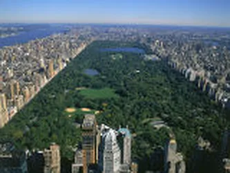 Rented by Reliable Property Management LLC