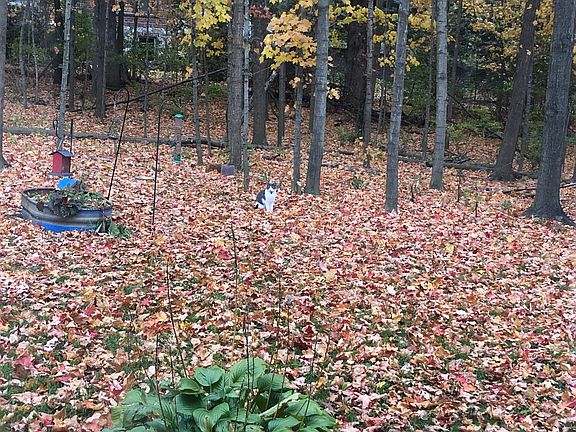Fall view master bedroom 