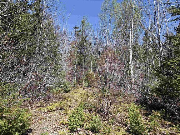2nd image of Marble Mountain Rd Lot 22