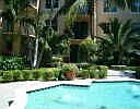 Courtyard pool