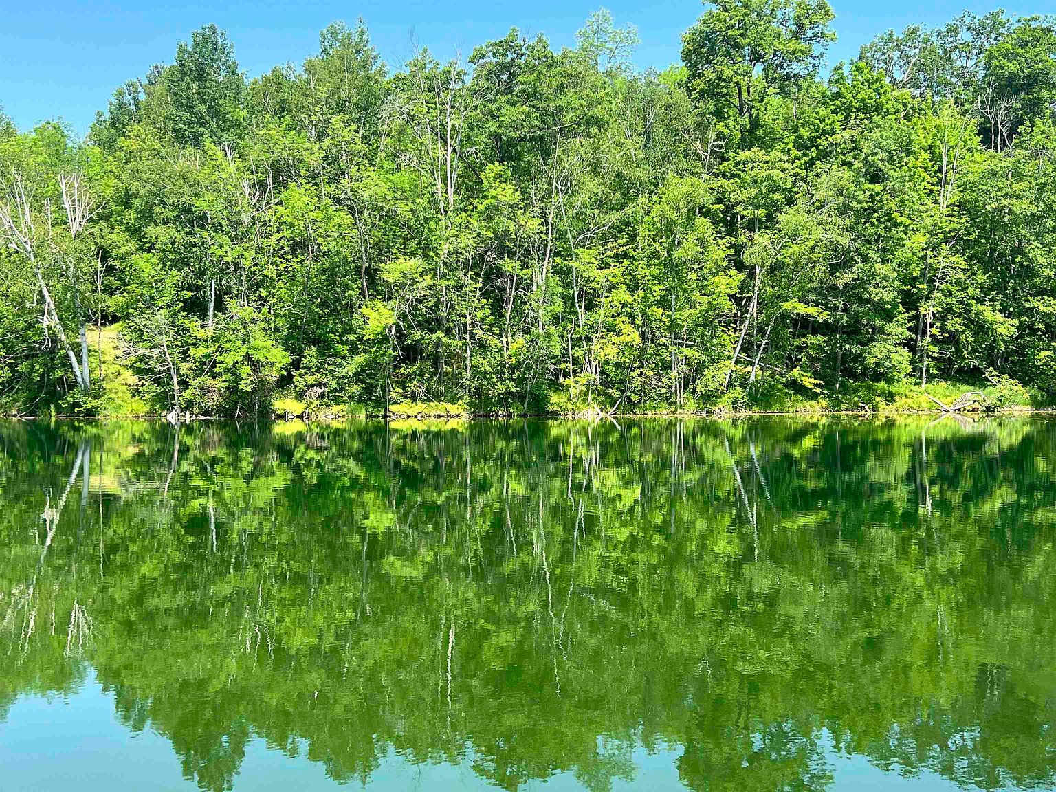 Winslow Lake Ln, Mountain, WI 54149 Zillow