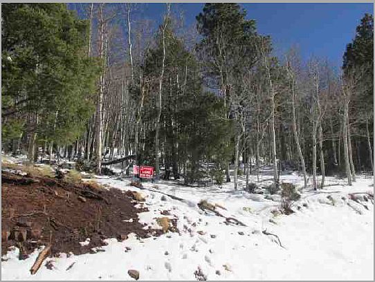 Great buildable lot! 