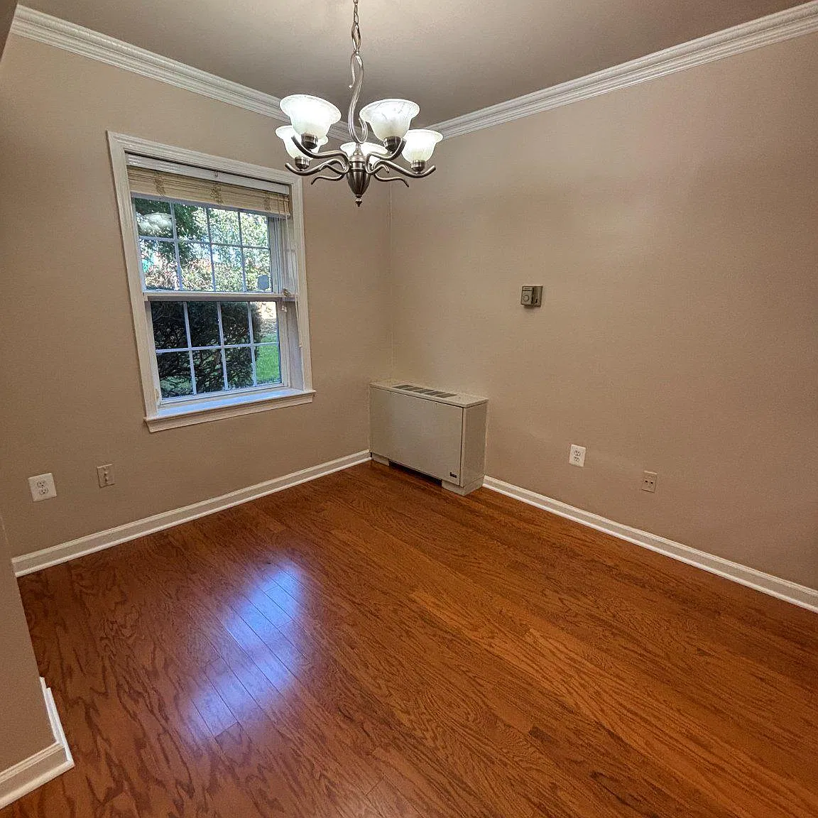 2 bed, 1.0 bath, 989 sqft, $2,500 — Photo 4