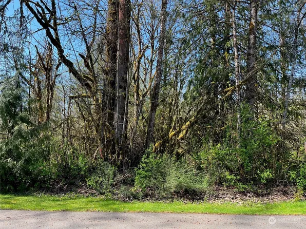 11036 Shuksan Rim Drive, Glacier, WA 98244