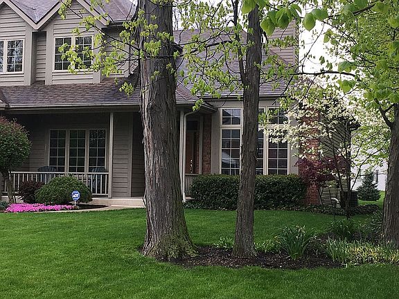 Landscape with Dogwood tree