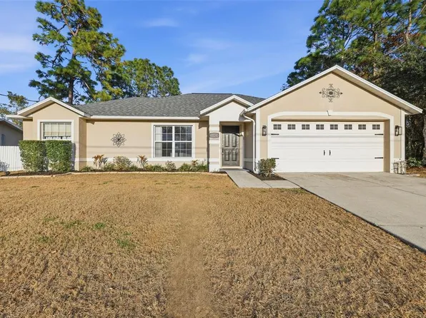 11523 Norvell Rd, Spring Hill, FL 34608
