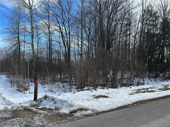 Munson Hill Rd, Ashtabula, OH 44004