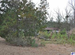 1095 Sawyer Rd, Marion, SC 29571