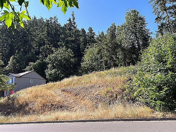 3rd image of 6225 Forest Ridge Dr