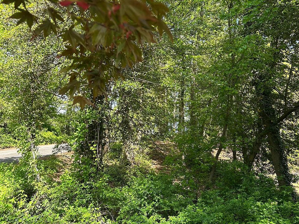 2nd image of Buttonwood Trl