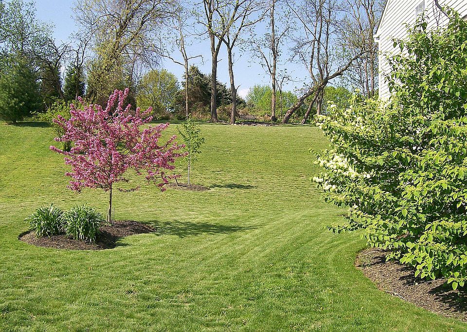 side yard