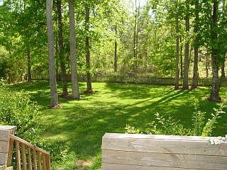 View from deck