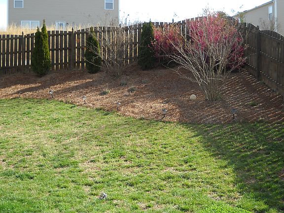Fenced yard
