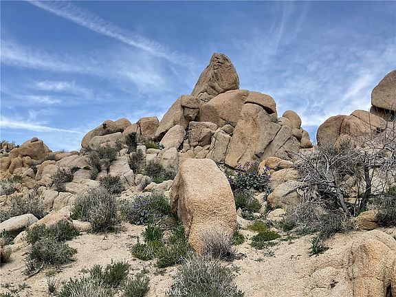 4th image of 57710 Bandera Rd